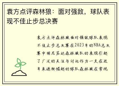 袁方点评森林狼：面对强敌，球队表现不佳止步总决赛