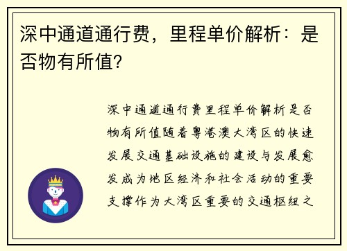 深中通道通行费，里程单价解析：是否物有所值？