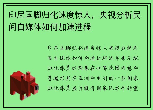 印尼国脚归化速度惊人，央视分析民间自媒体如何加速进程